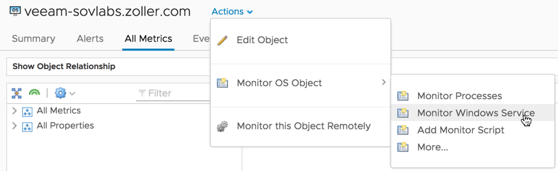 Monitor Windows Service from vROps