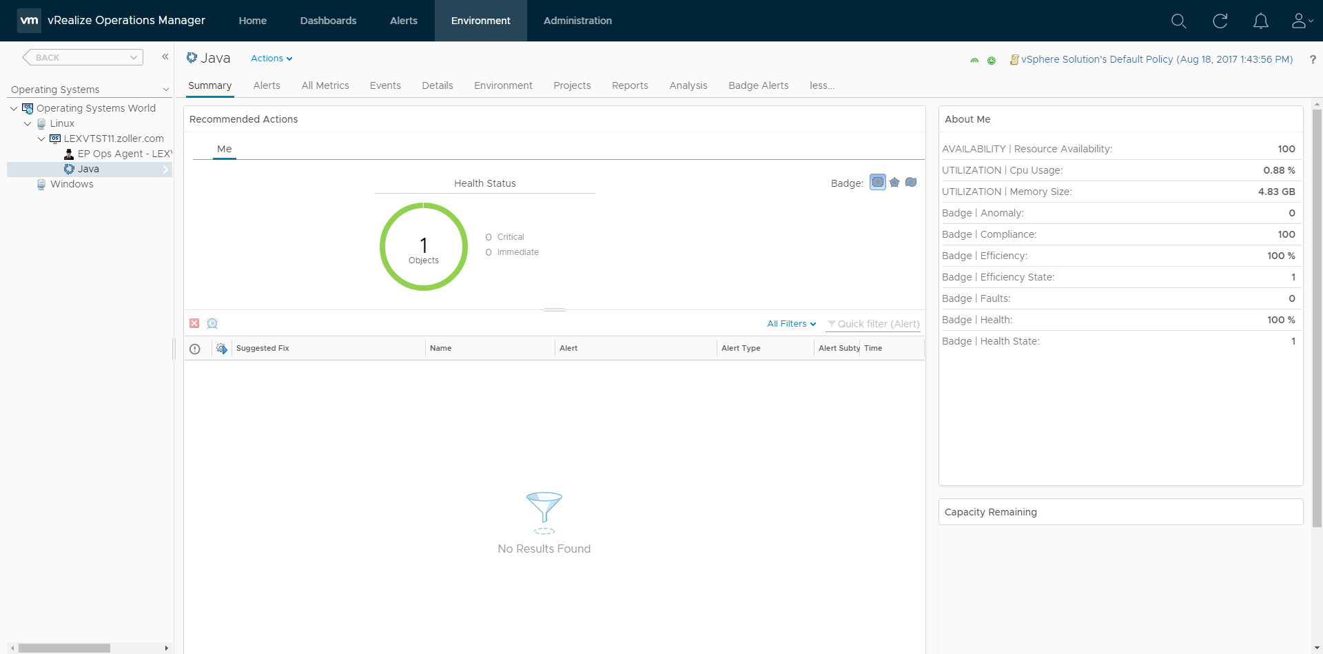 Java process summary screen