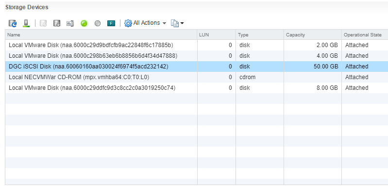 Host-level disk devices